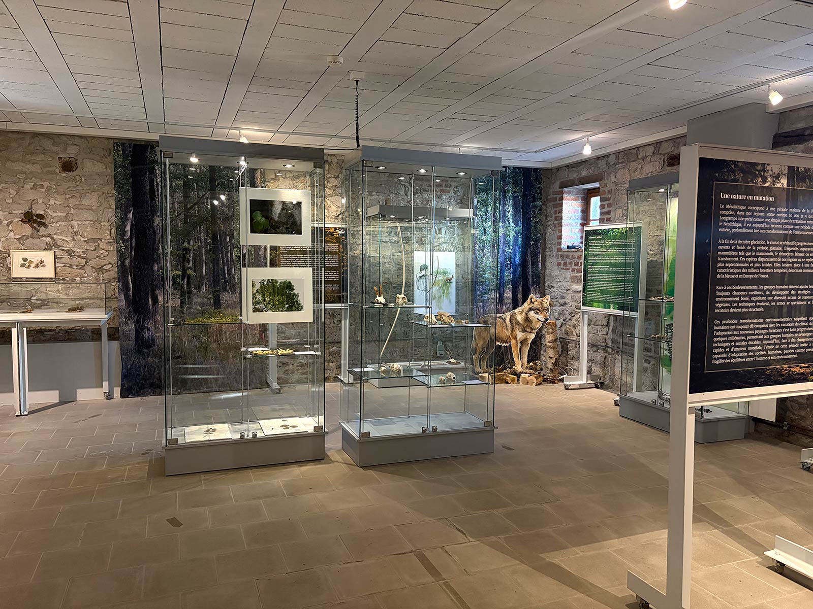 Exposition temporaire du musée archéologique de la Haute Meuse
