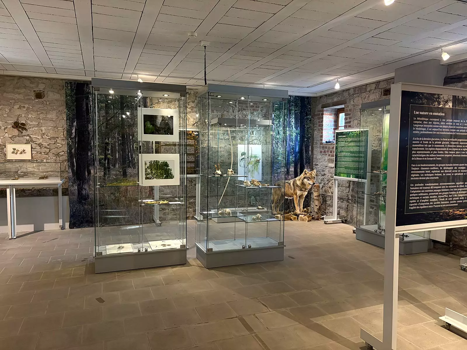 Exposition temporaire du musée archéologique de la Haute Meuse